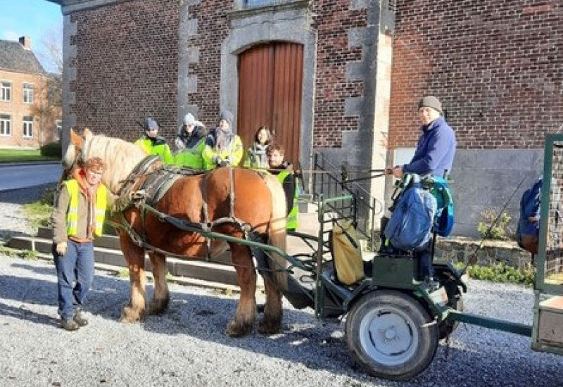 Villers-la-ville : Le retour du cheval de trait en ville