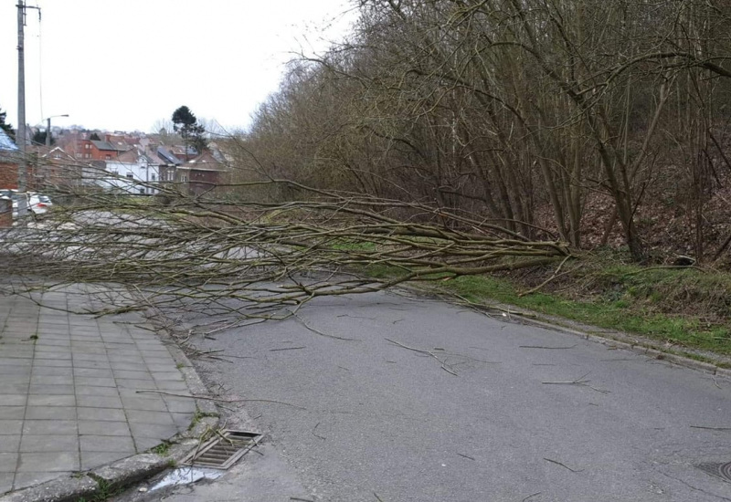 Tempête Ciara : des dégâts avec des vents de plus de 100 km/h