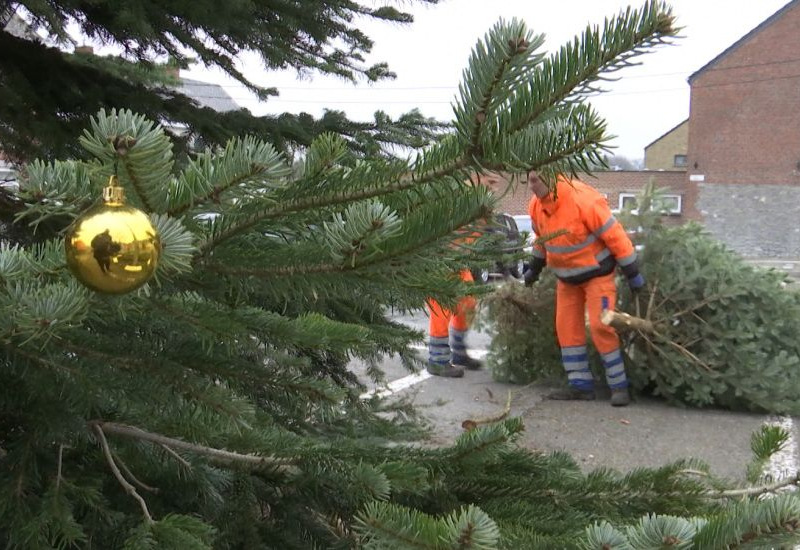 Ramassage des sapins de Noël, les dates sont connues 