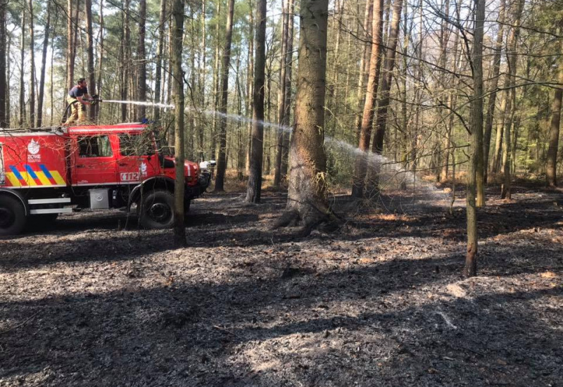 Nalinnes: des jeunes boutent le feu dans le bois de la Ferrée 