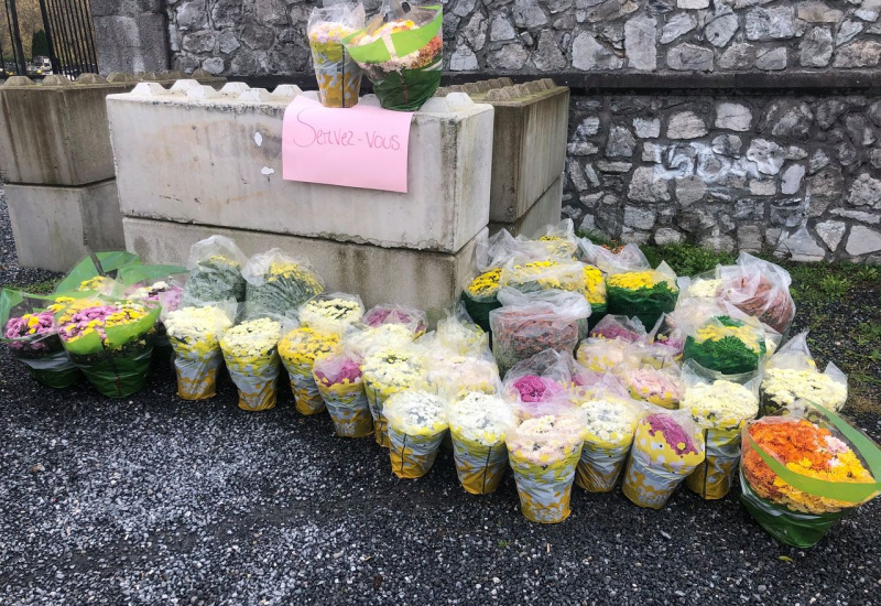 Des fleurs à saisir au cimetière de Thuin 