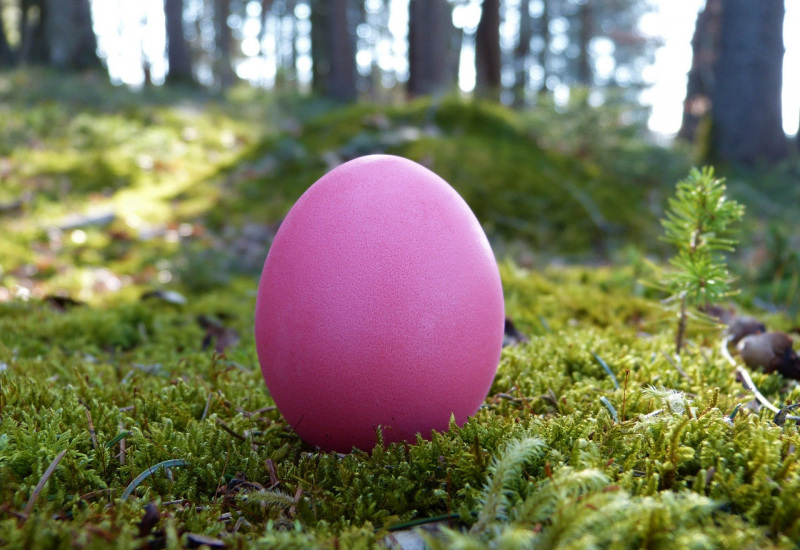 Une chasse aux oeufs à Rance ce vendredi 7 avril