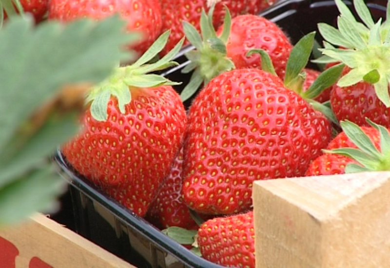 Le Covid 19 va-t-t-il faire pourrir les fraises?