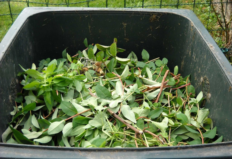 Ramassage des déchets verts sur la commune de Farciennes