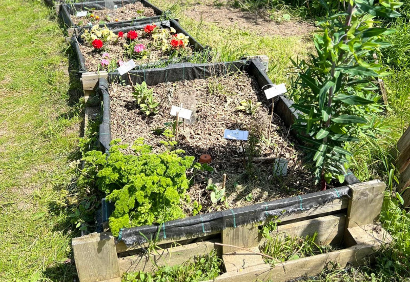 Fleurus : le réseau de potager en ville s'étoffe ! 