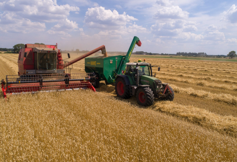 Agriculture: 200 millions d'euros de pertes à cause de la sécheresse en Wallonie