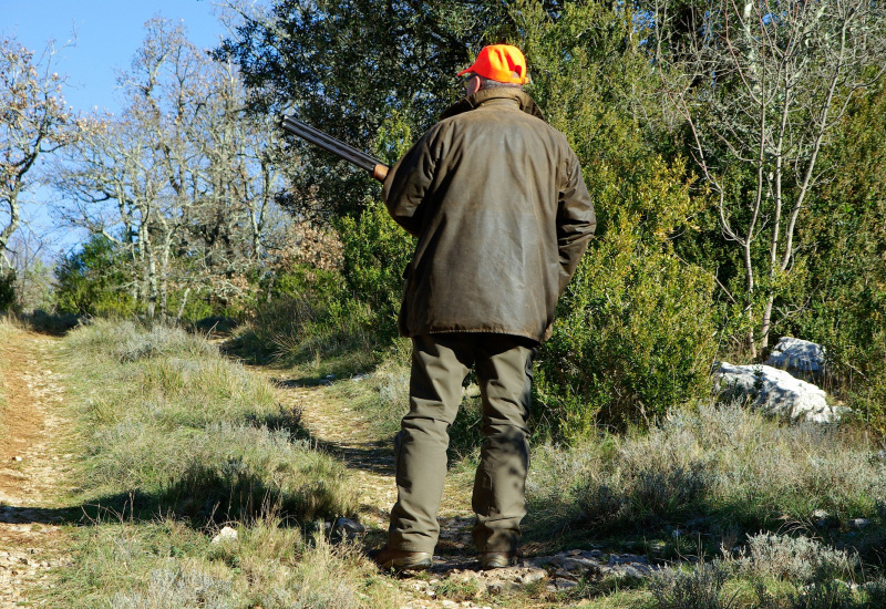 Une battue aura lieu dans les bois d'Erquelinnes ce dimanche 29 octobre