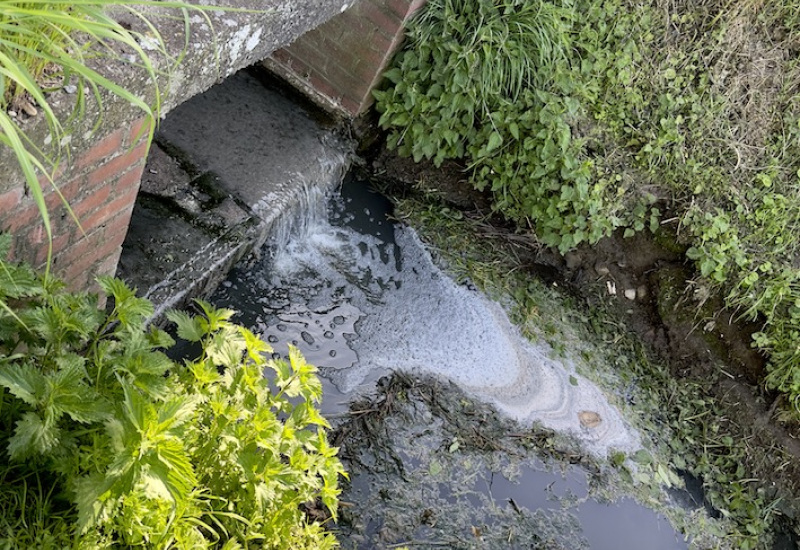 Pont-à-Celles : Les travaux du ruisseau "Le Buzet" sont terminés