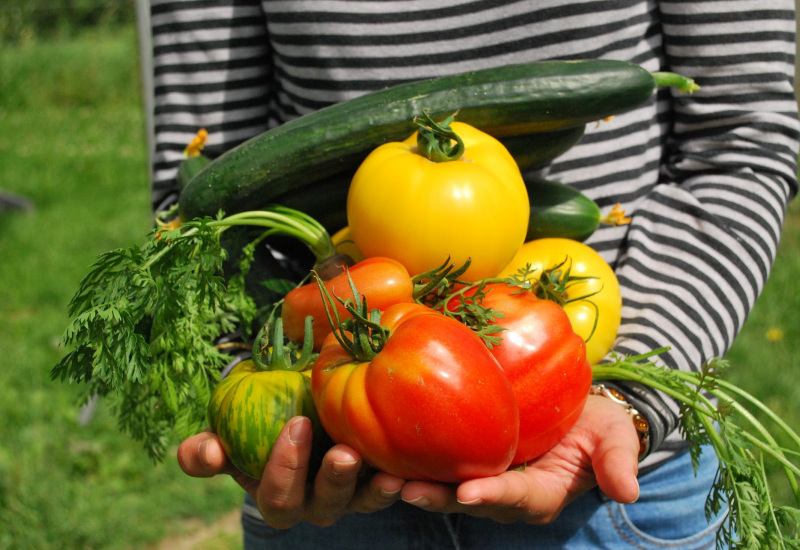 Thuin : La paroisse veut créer un jardin partagé ! 