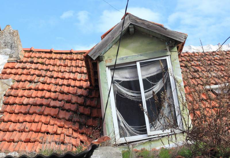 Fleurus : La chasse aux logements inoccupés est ouverte (vidéo)