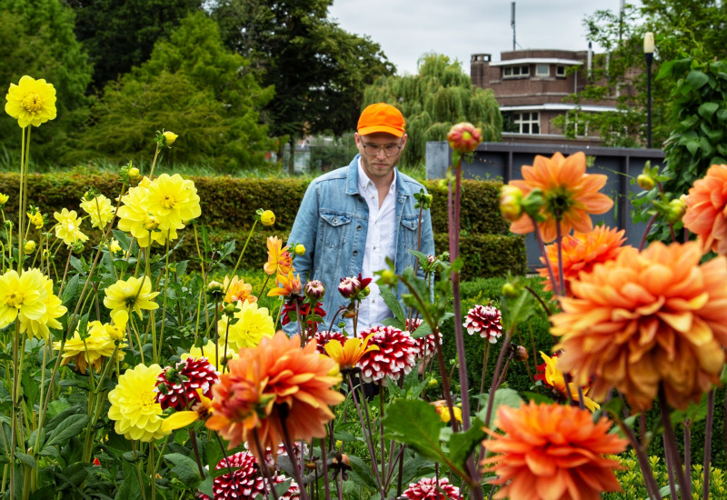 Charleroi : un petit jardin dans la ville ?