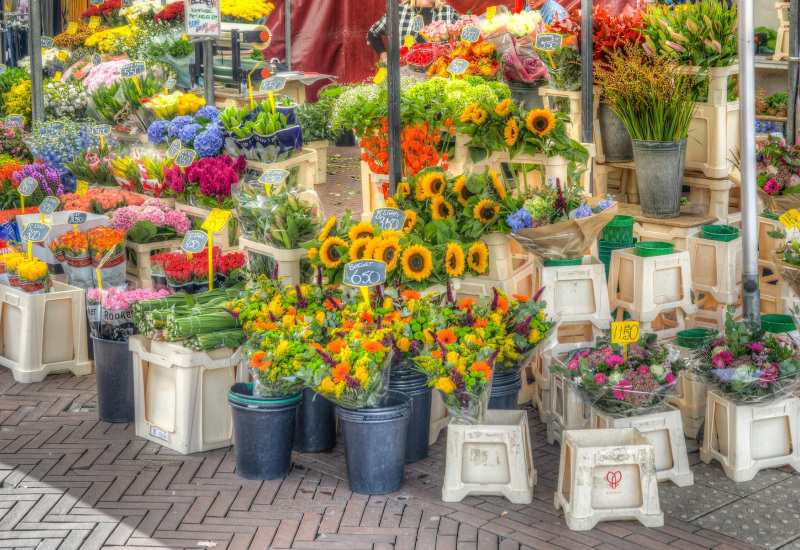 Froidchapelle : Retour du marché aux fleurs du cercle horticole de Boussu-lez-Walcourt