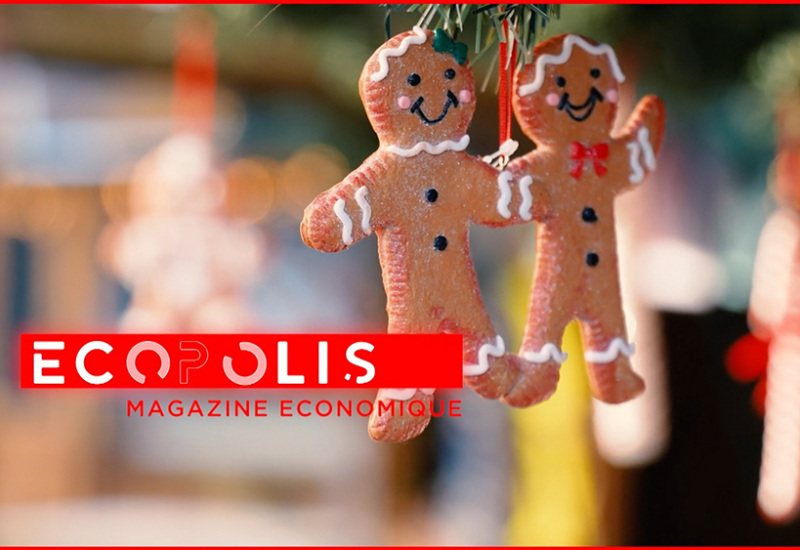 Ecopolis : Christmas Business