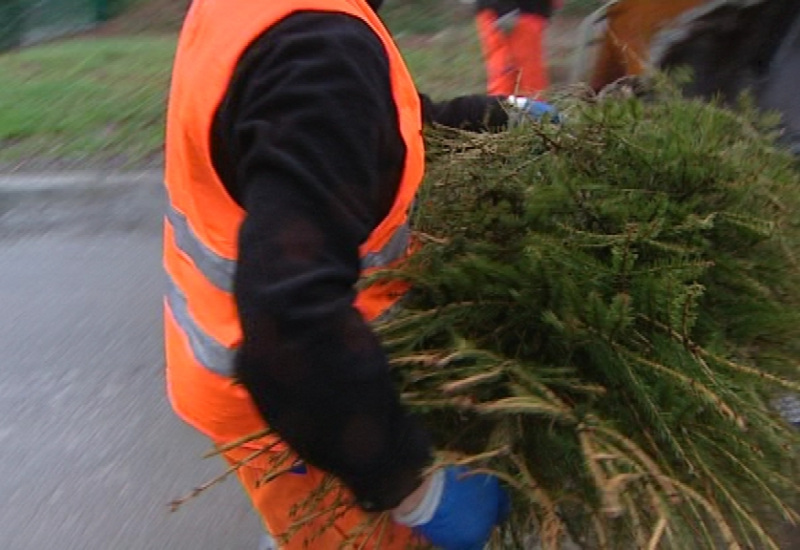 Petite piqûre de rappel : Les sapins seront de sortie ce week-end 