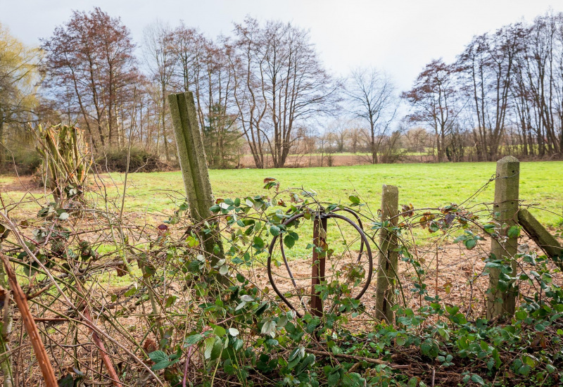 UPDATE : Ham-sur-Heure-Nalinnes : Tingremont, Fontenelle, Le Laury, les sentiers de la discorde  (vidéo)