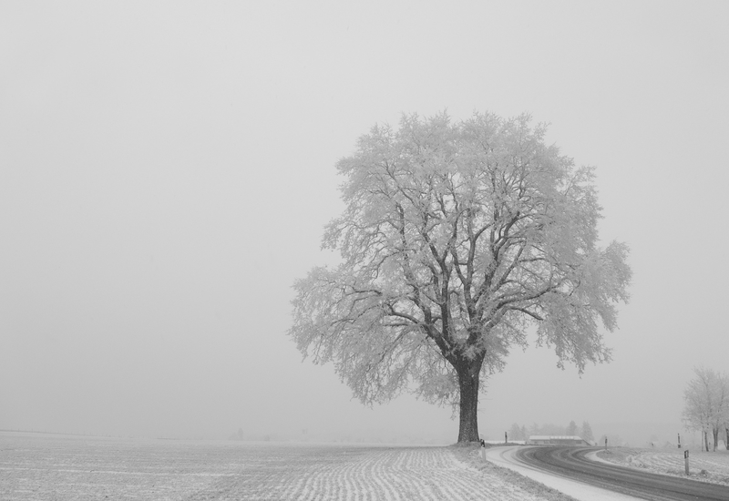 IRM: la neige se prolonge jusque vendredi matin 