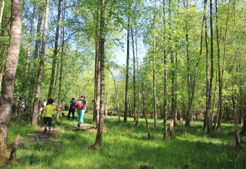 Natagora organise des portes ouvertes pour découvrir les Réserves naturelles ! 