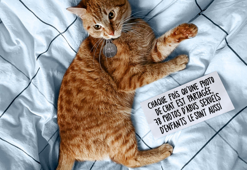 Campagne Child Focus : des chats pour lutter contre les abus sexuels d’enfants