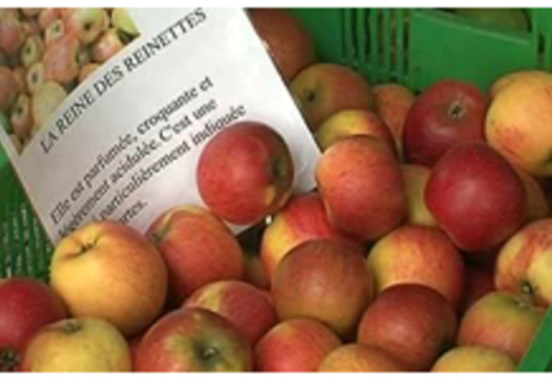 22/10/11 : Fêtes des Pommes à Grandrieu