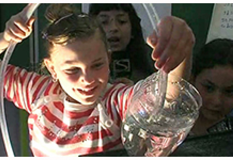 04/05/13 : Animations scientifiques