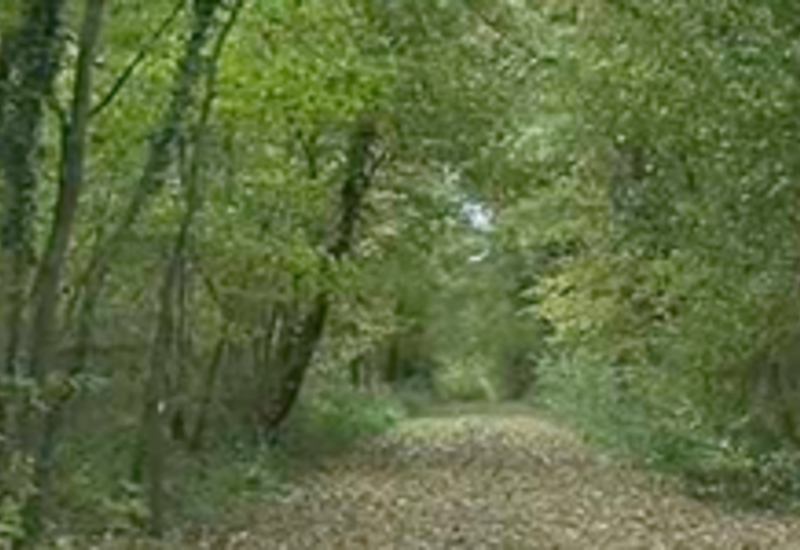 23/11/13 : Sentier éco-pédagogique de Gougnies