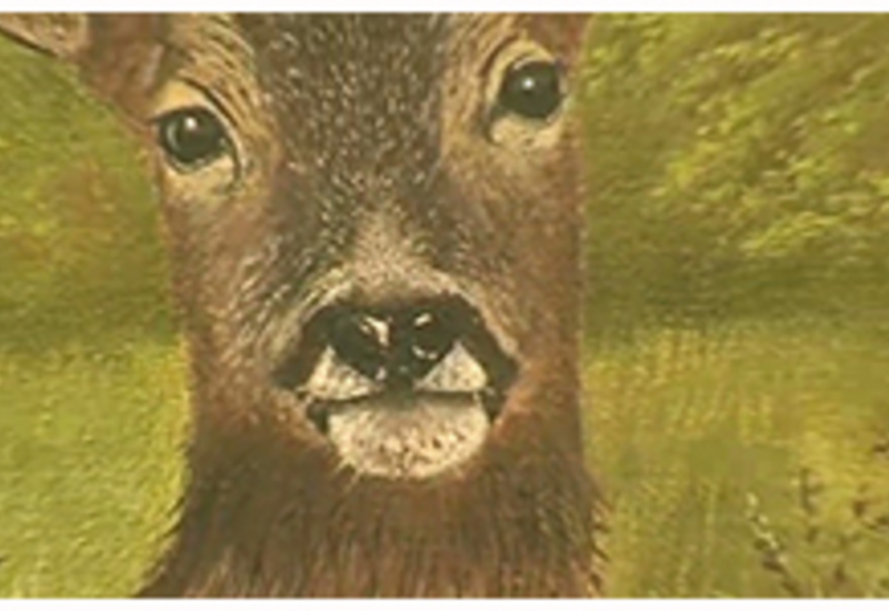 06/01/14 : Expo Marjorie MAHIEU