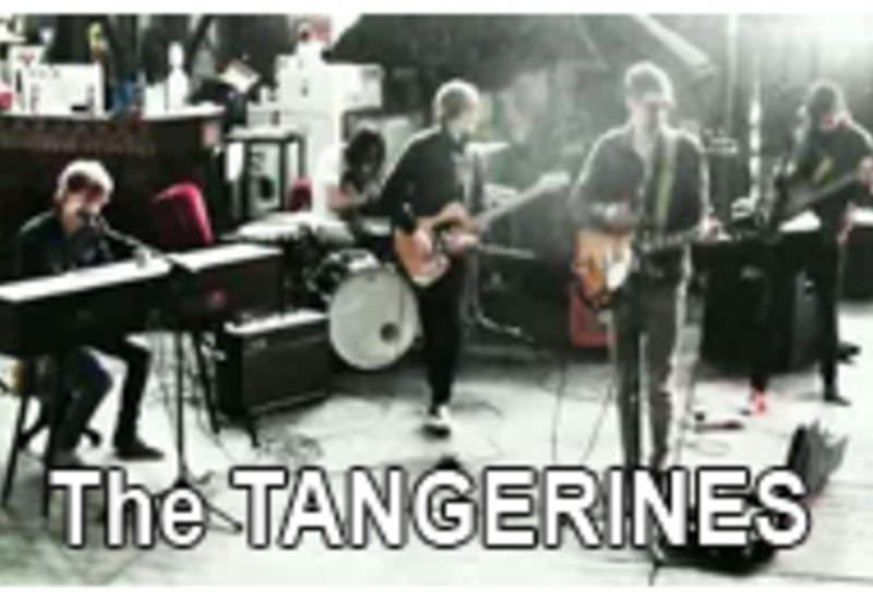 12/10/11 : The Tangerines