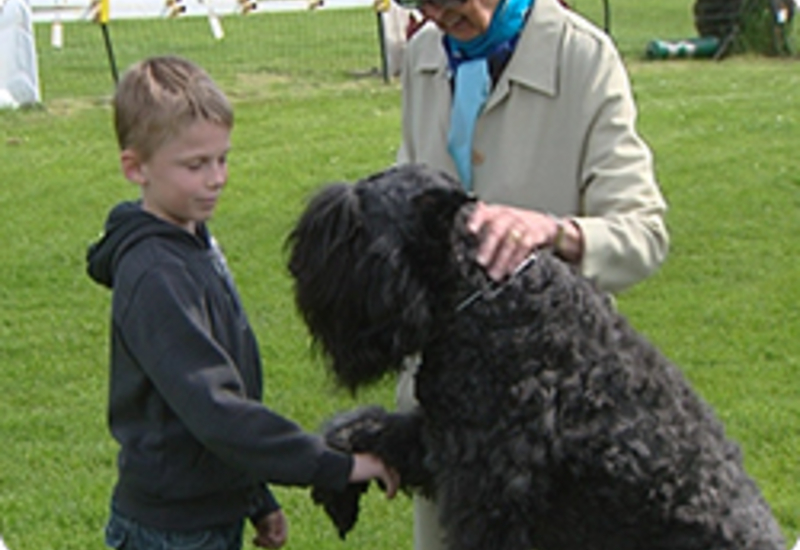 06/06/13 : VISITE SCOLAIRE AU CLUB CANIN DE DAMPREMY