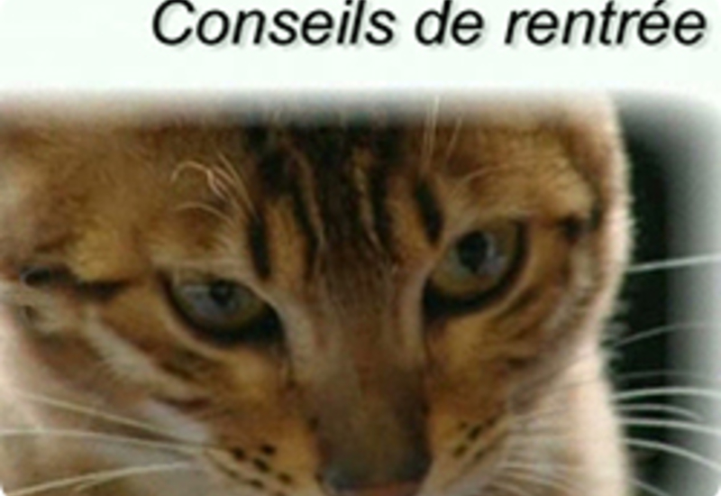 05/09/13 : CONSEILS DE RENTREE