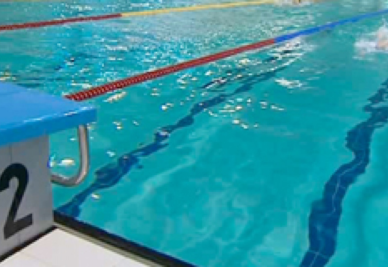 24/02/14 : Championnats francophones de natation