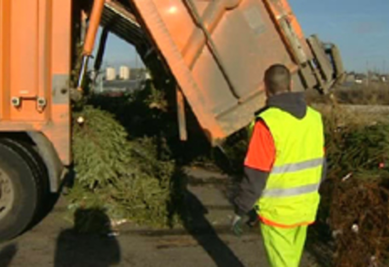 10/01/11 : Collecte des sapins