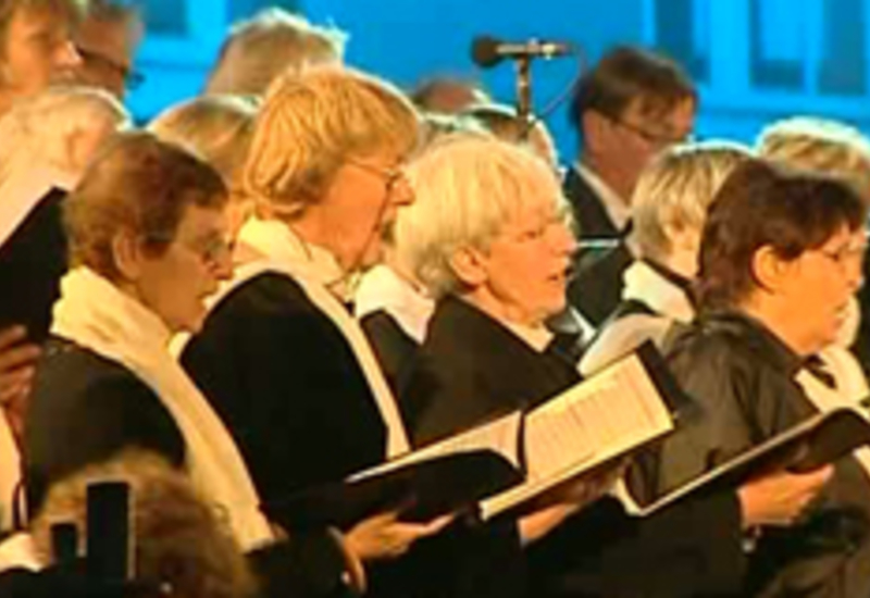 12/08/11 : Nuit musicale de Seneffe