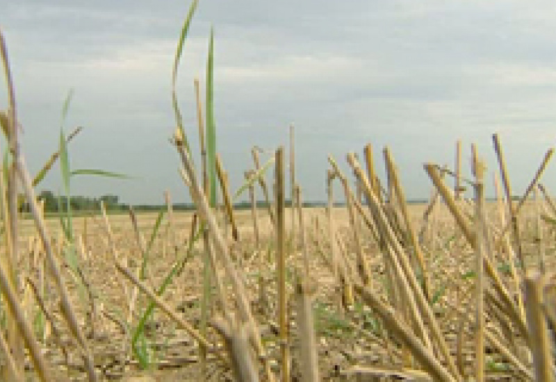22/08/11 : Météo et agriculture