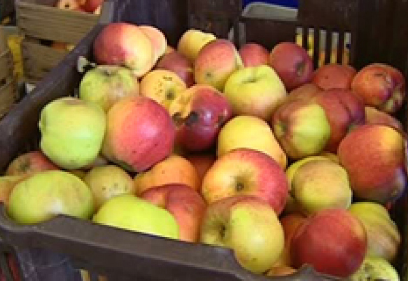 18/10/11 : Foire aux pommes