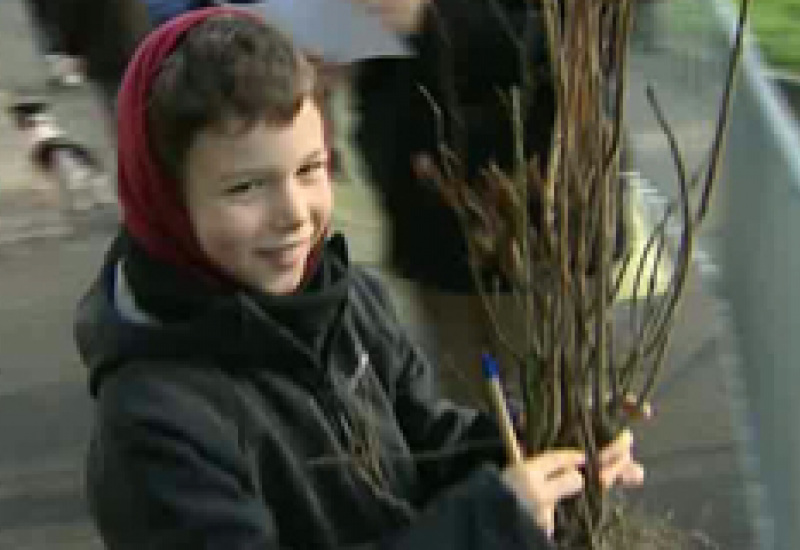 29/11/11 : Journée de l'arbre