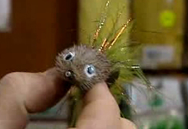 03/02/12 : Fête de la Pêche à la mouche
