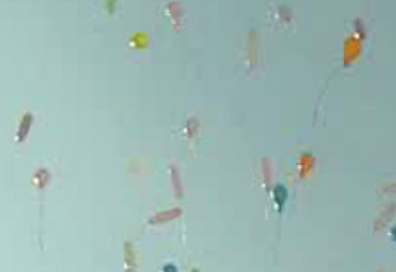 16/03/12 : Lâcher de ballons