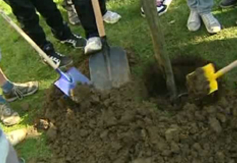 22/03/12 : "Un arbre, une école"