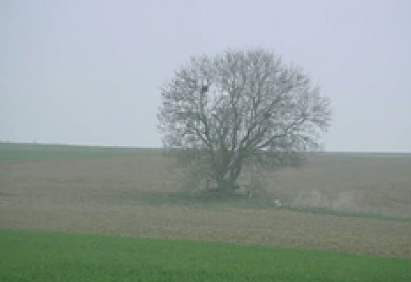 05/04/12 : Pas d'éoliennes au "Grand Fayi"