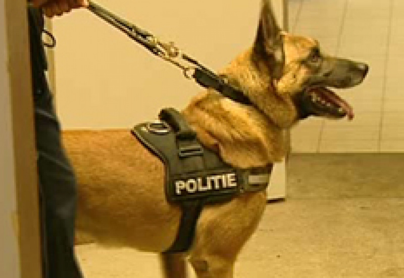31/05/12 : Concours de maîtres-chiens