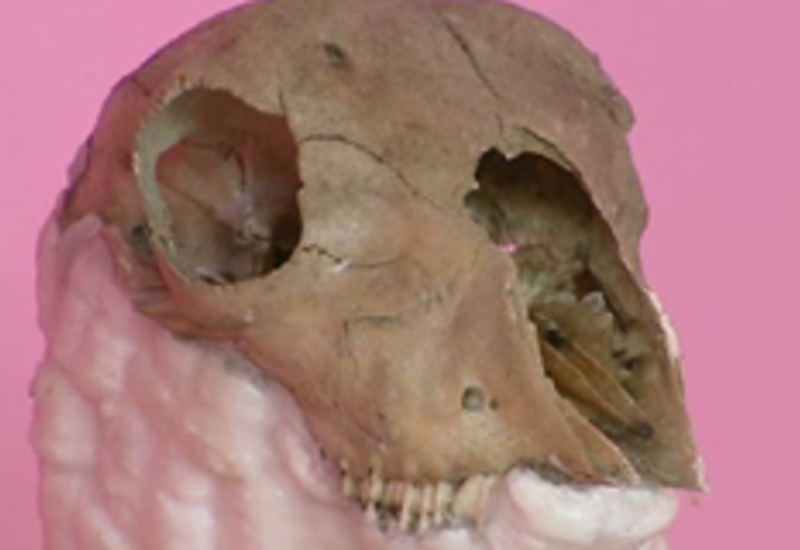 04/06/12 : Expo "Nacres et simulacres"