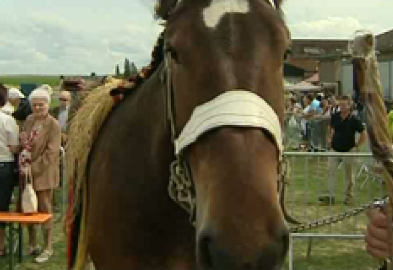 10/08/12 : Fête à l'ancienne