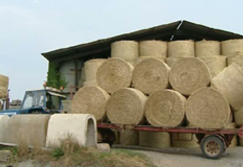 23/08/12 : Bilan agriculture
