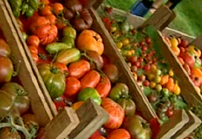 29/08/12 : Fête de la tomate à Auvelais