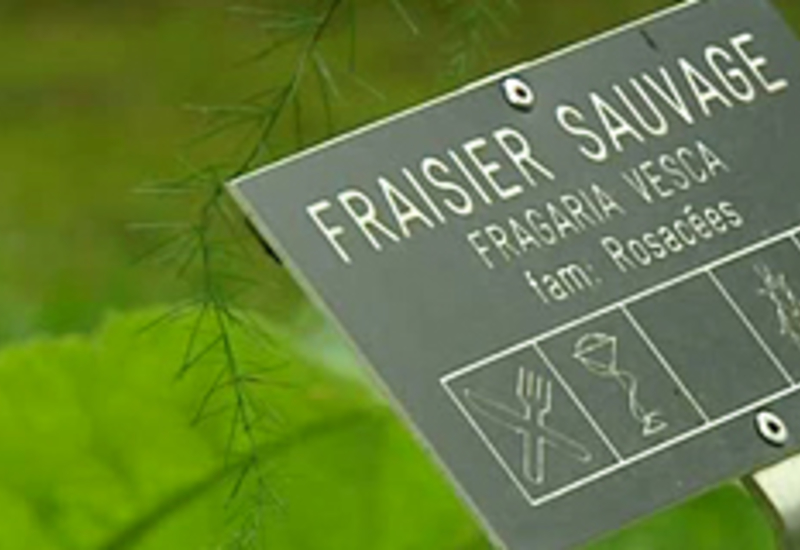 07/09/12 : Un jardin extraordinaire