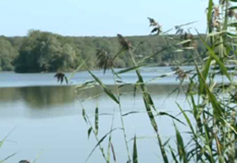 18/09/12 : Fête de l'oiseau à Virelles