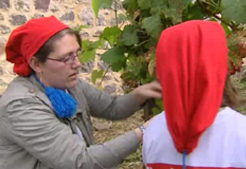 24/09/12 : Vendanges du "Clos des Zouaves"
