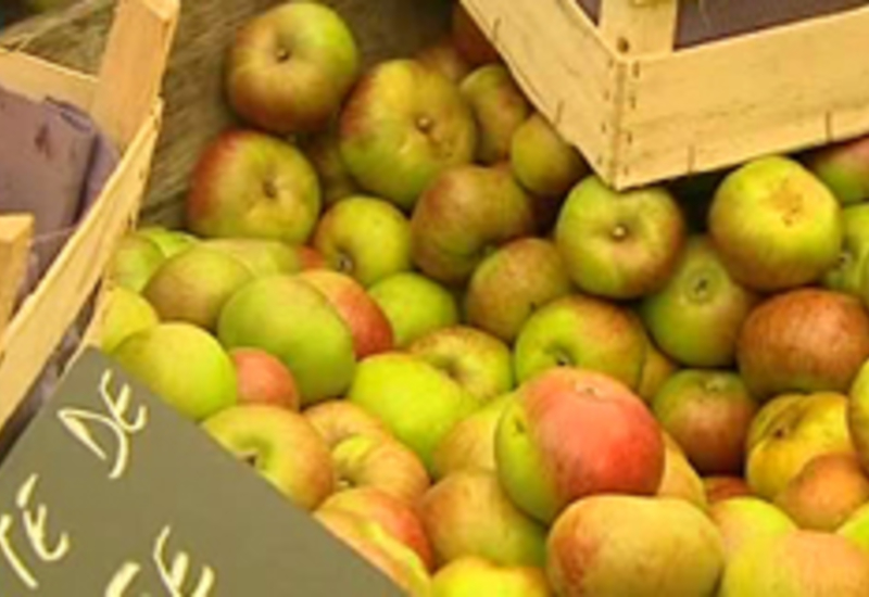 25/10/12 : Foire aux pommes à Virelles