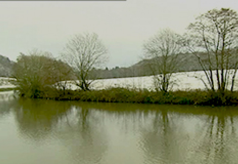 07/12/12 : Tombe la neige