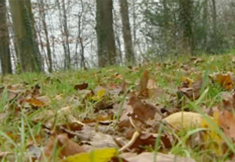 19/12/12 : Panneaux didactiques à Sautin